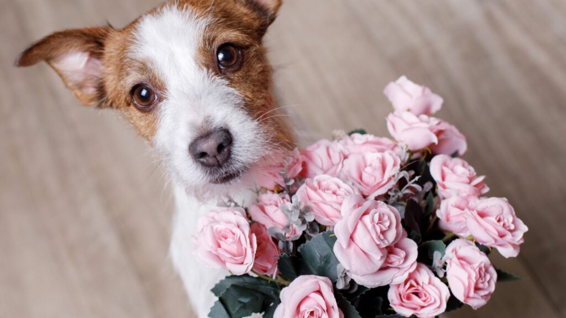 II-es típusú lakás